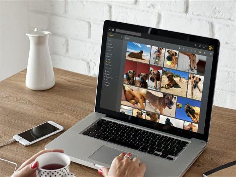 高端品牌網站建設